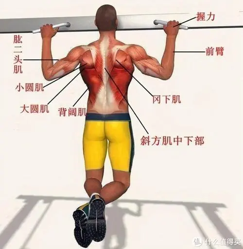 乒乓球台哪家质量不错